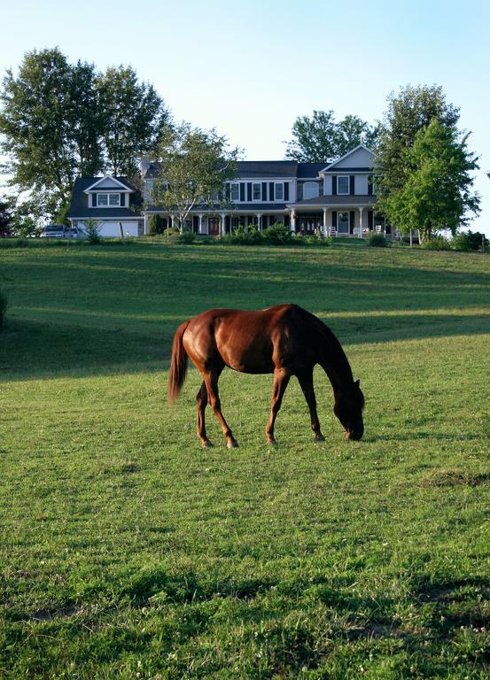 The Inn At Westwynd Farm Hershey Bekvemmeligheder billede
