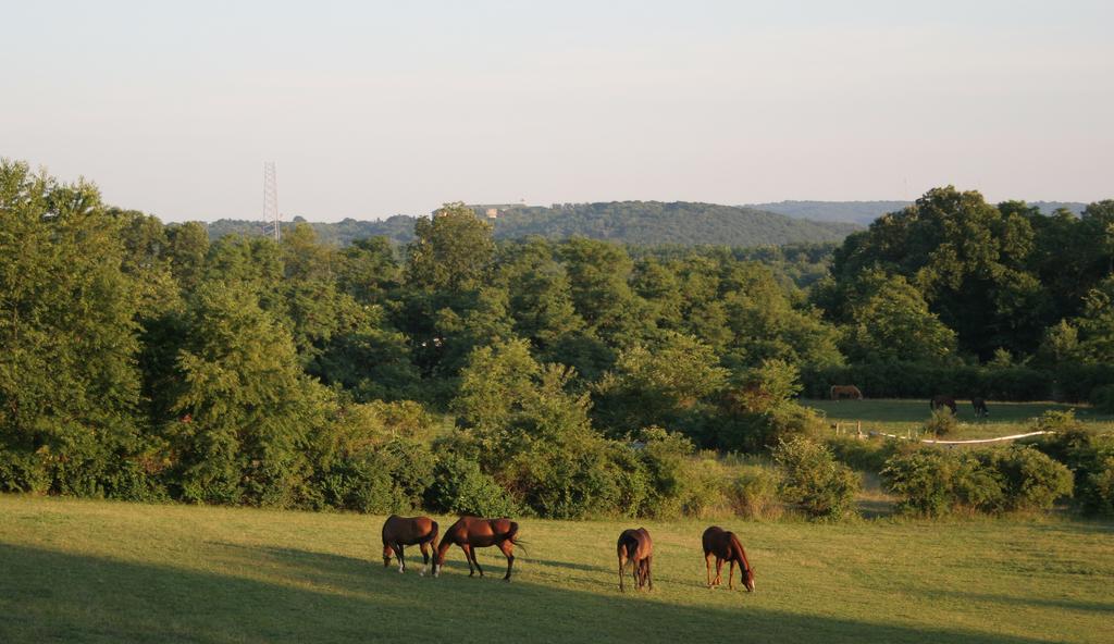 The Inn At Westwynd Farm Hershey Eksteriør billede